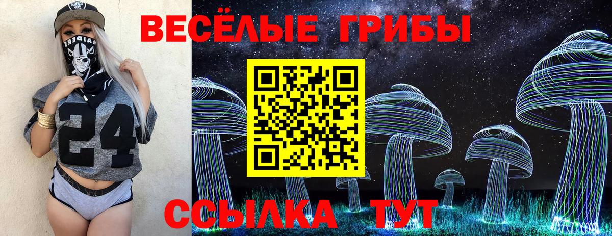 Галлюциногенные грибы MAGIC MUSHROOMS Нефтекумск